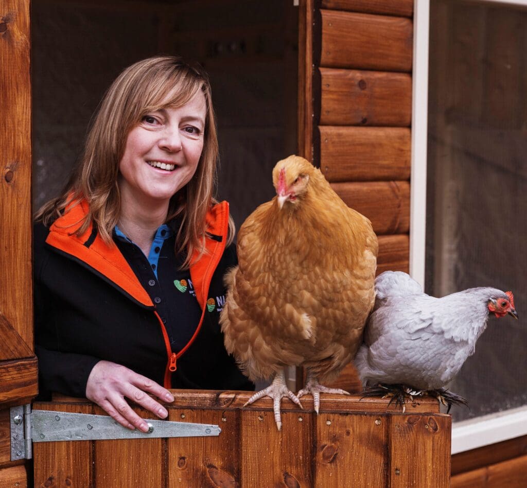 Hen Therapy