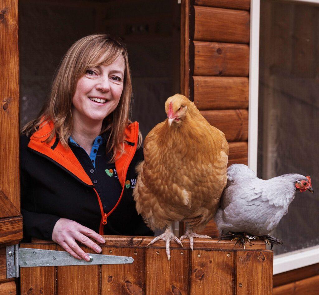 Hen Therapy