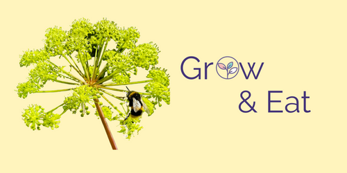Grow & Eat logo with plant