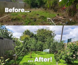 Whitley Bay Community Allotment and Orchard before and after pictures