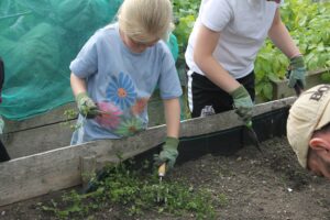 children gardening-howdon community hub