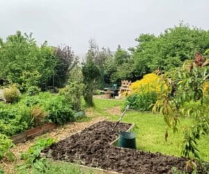 A vibrant garden featuring a large patch of dirt surrounded by various plants, including shrubs and herbs, set against a clear sky. The ground is adorned with mulch and grass, creating a well-landscaped backyard environment.