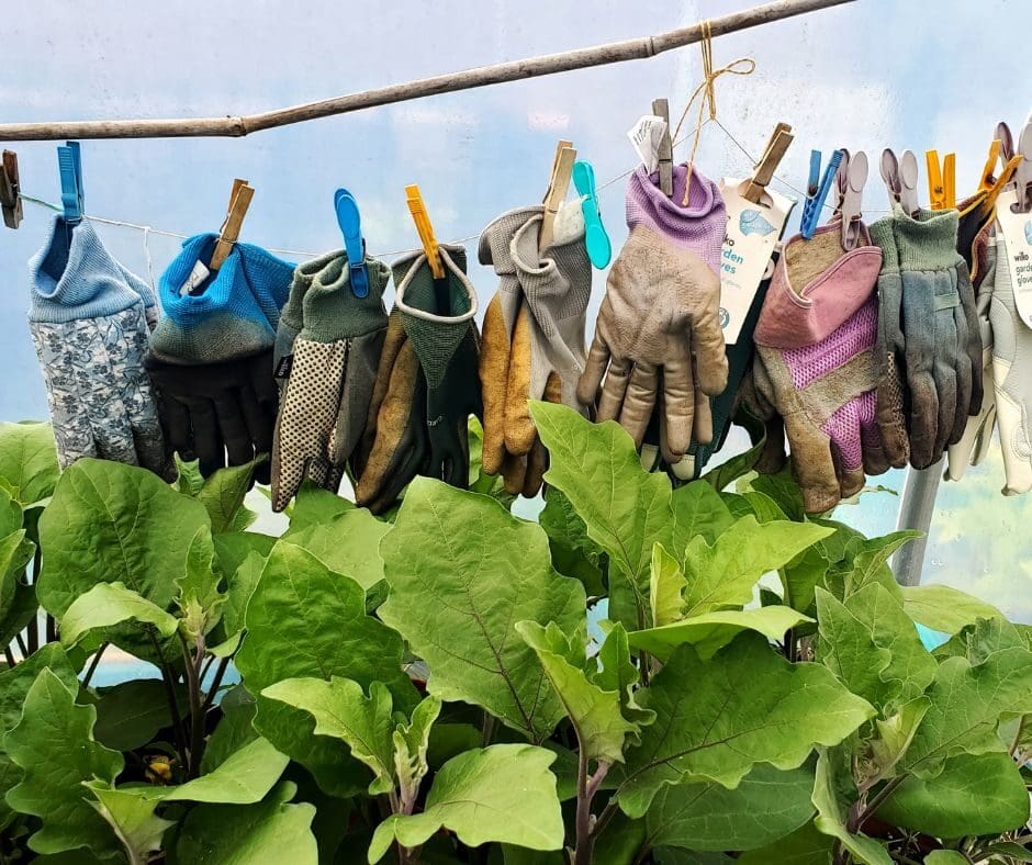 A clothesline full of gloves hanging on a clothesline against a backdrop of the sky, with greenery and vegetable plants in the background.